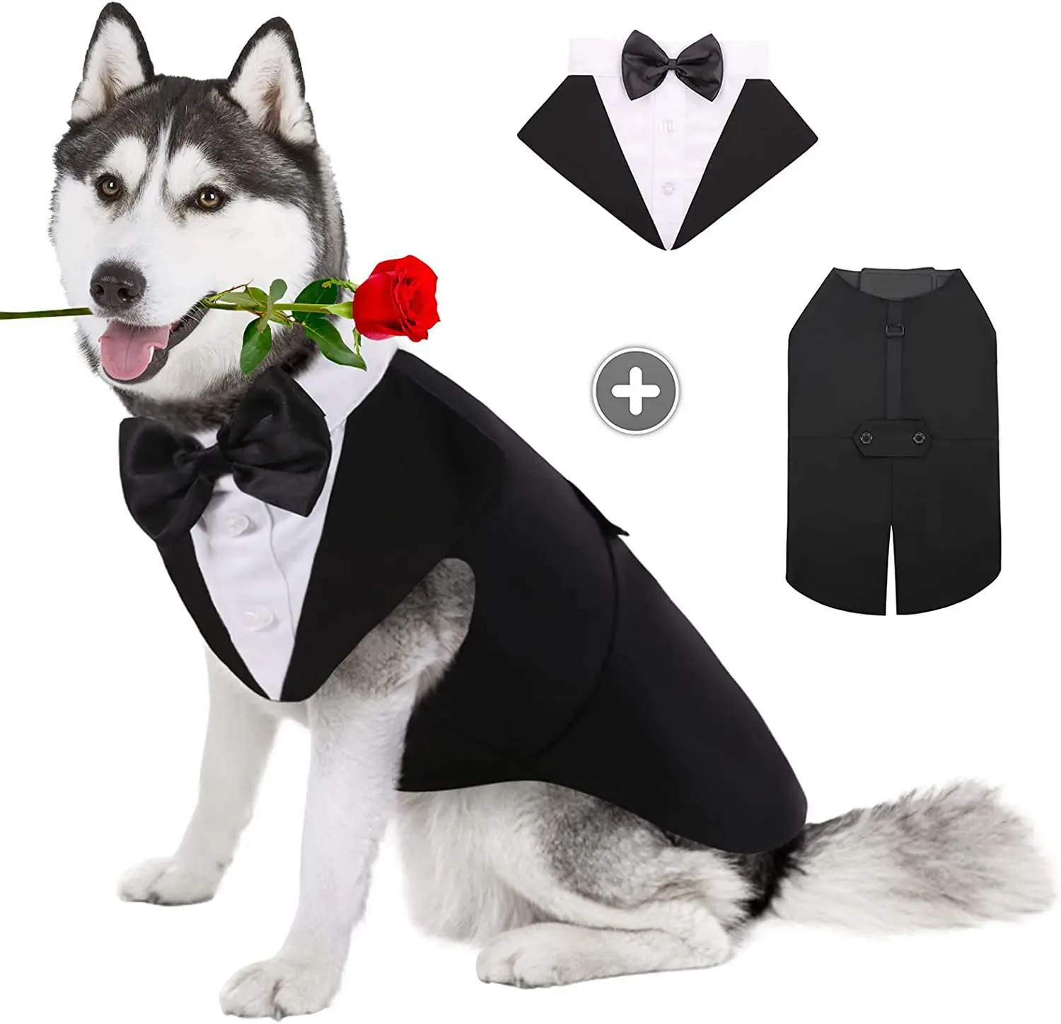 Suit Supply Wedding Party - Pet Köpek Giysileri Moda Parti Gösterisi