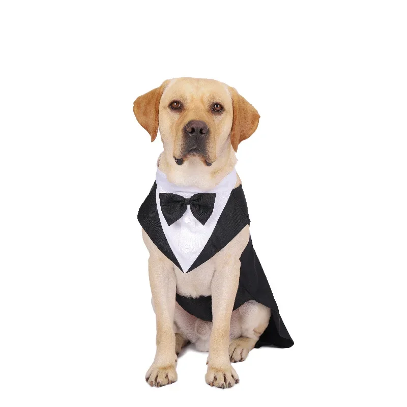 Evcil Köpek Kıyafetleri Düğün  - Suit Supply Wedding Party incelemesi ve fiyatı