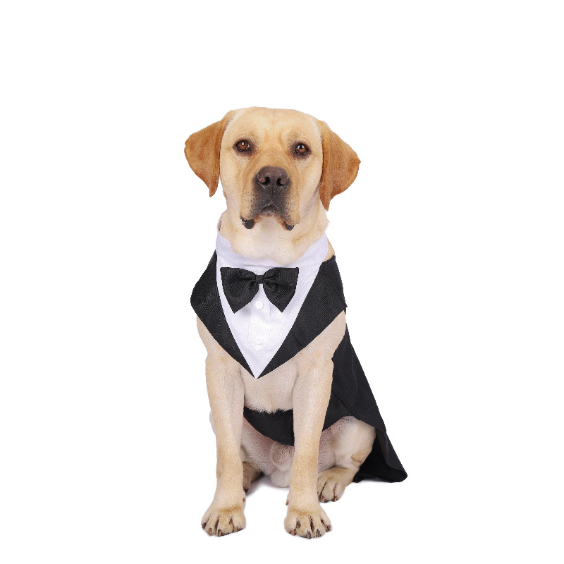 Pet köpek giysileri moda parti - Suit Supply Wedding Party incelemesi ve fiyatı