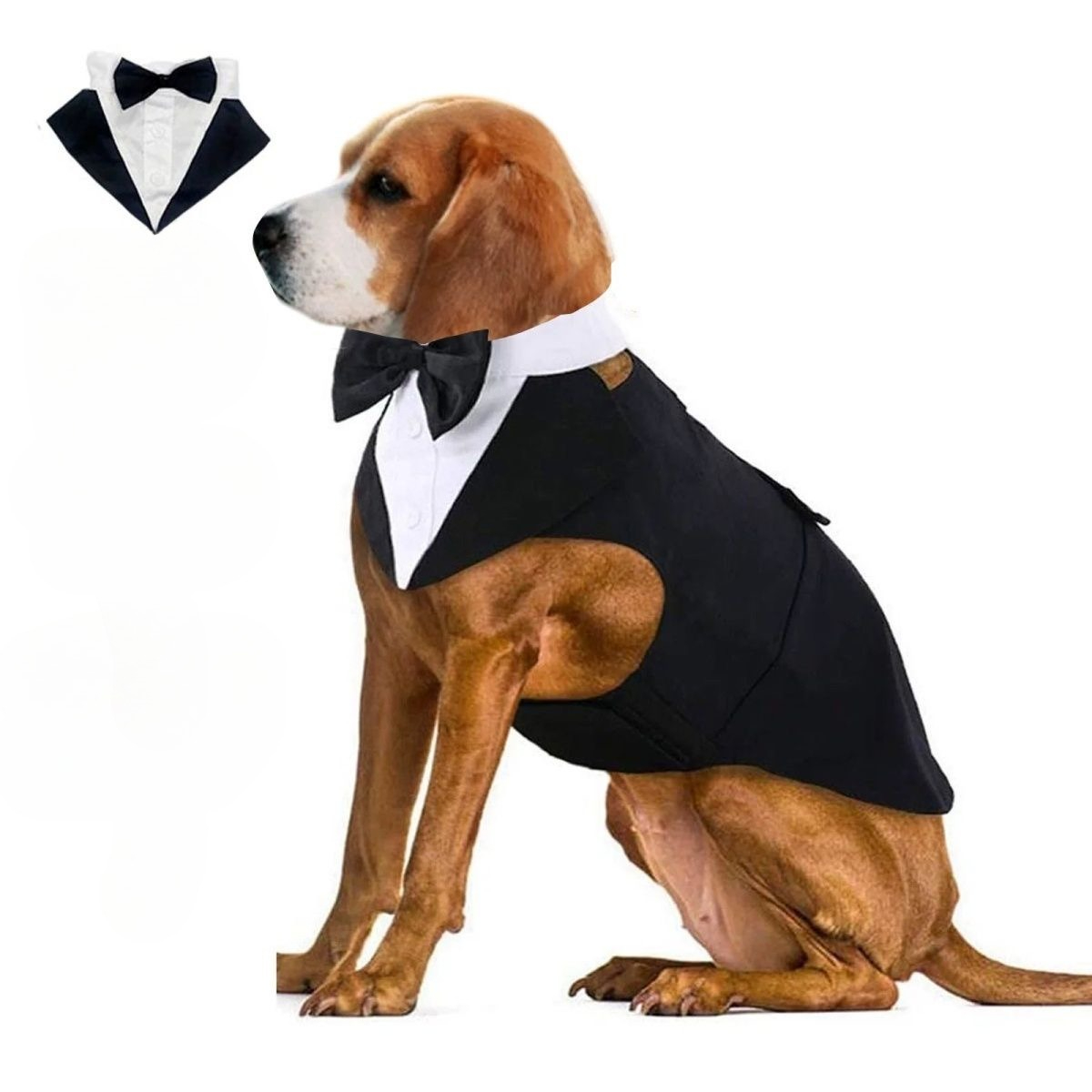 Evcil Köpek Kıyafetleri Moda P - Suit Supply Wedding Party incelemesi ve fiyatı